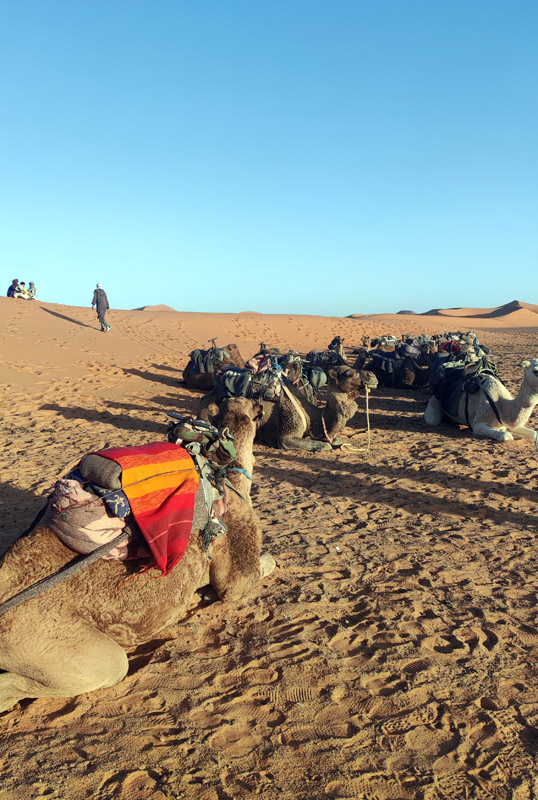 Désert de Merzouga, Maroc