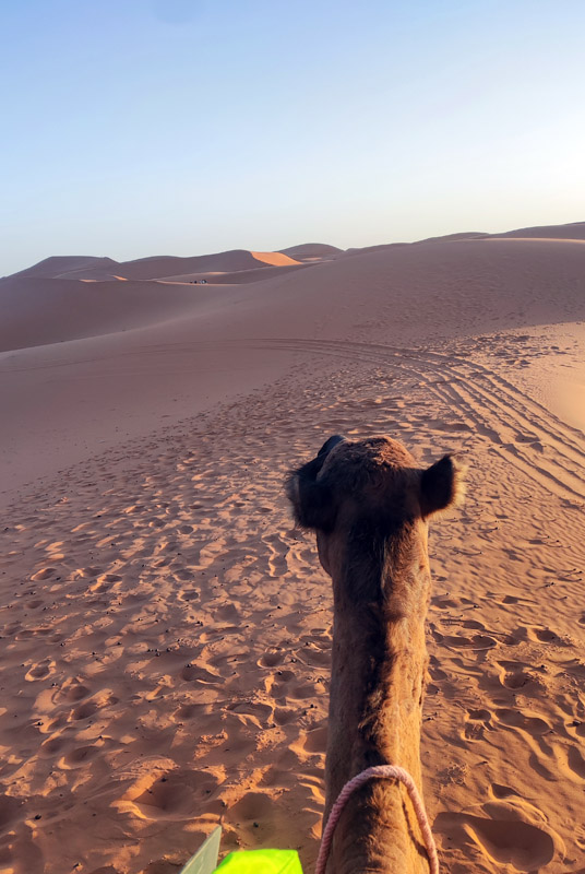 Désert de Merzouga, Maroc