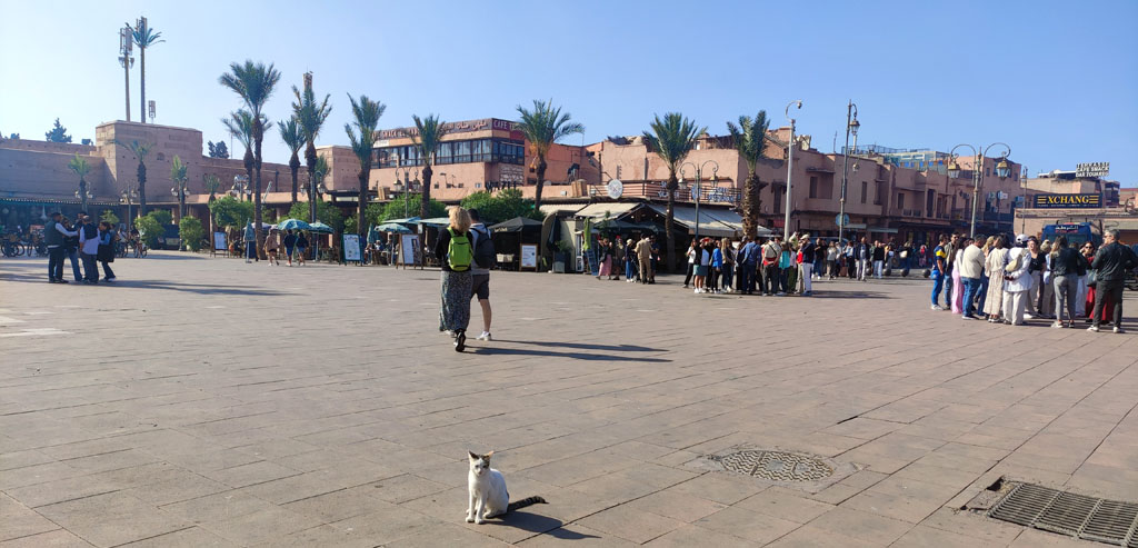 Place Kzadriya Marrakech