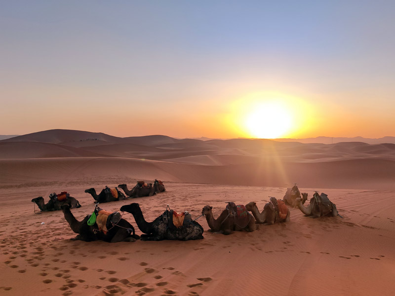 Voyage circuit au Maroc : désert de Merzouga
