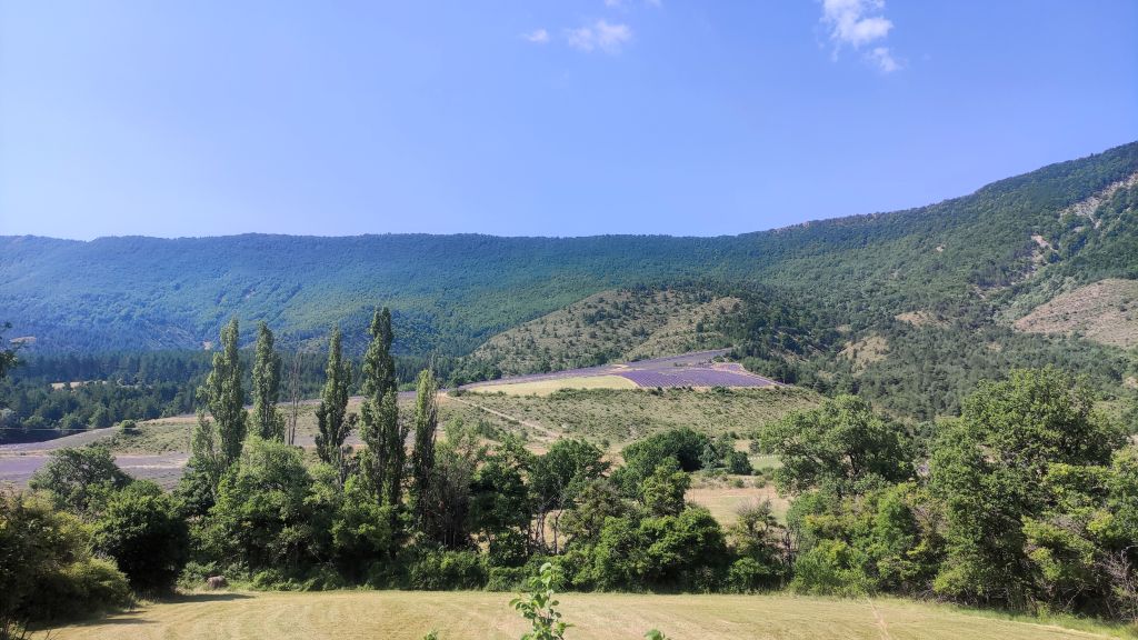 Route de la lavande
