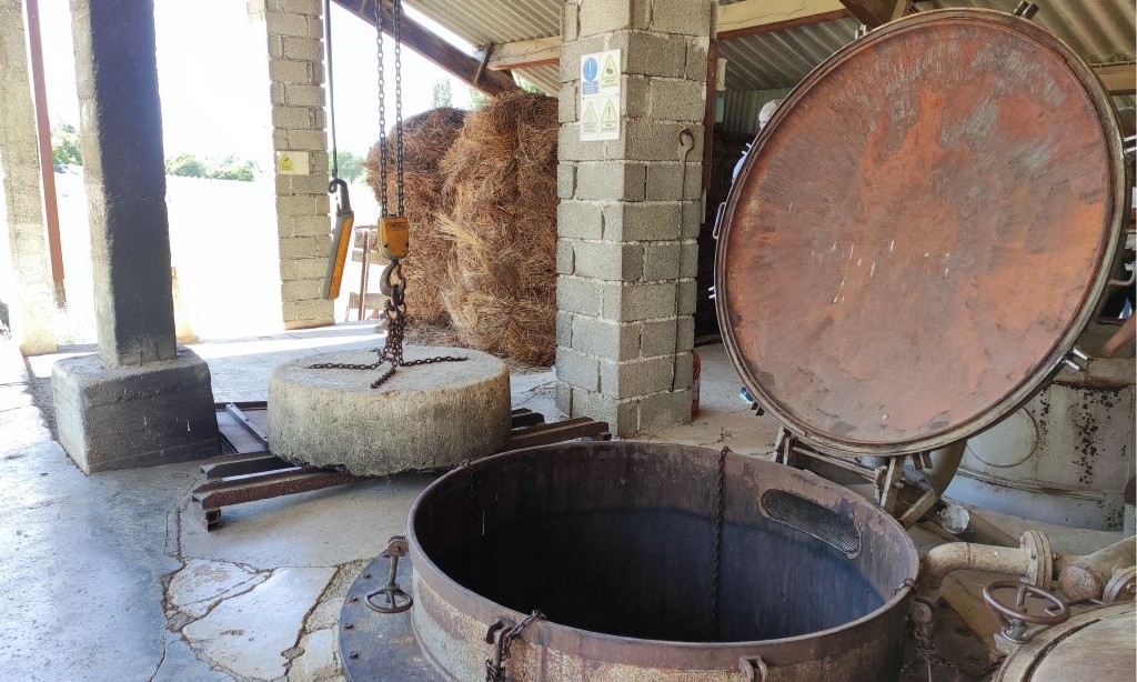 Visite de la distillerie Vallon des Lavandes Sault