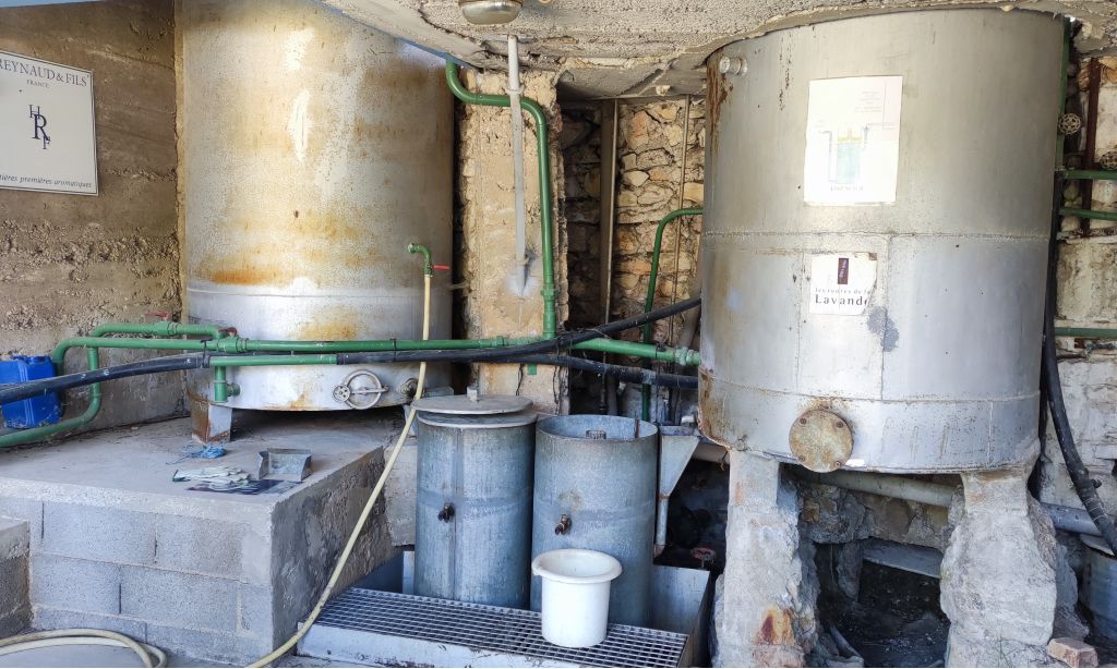 Visite de la distillerie Vallon des Lavandes Sault